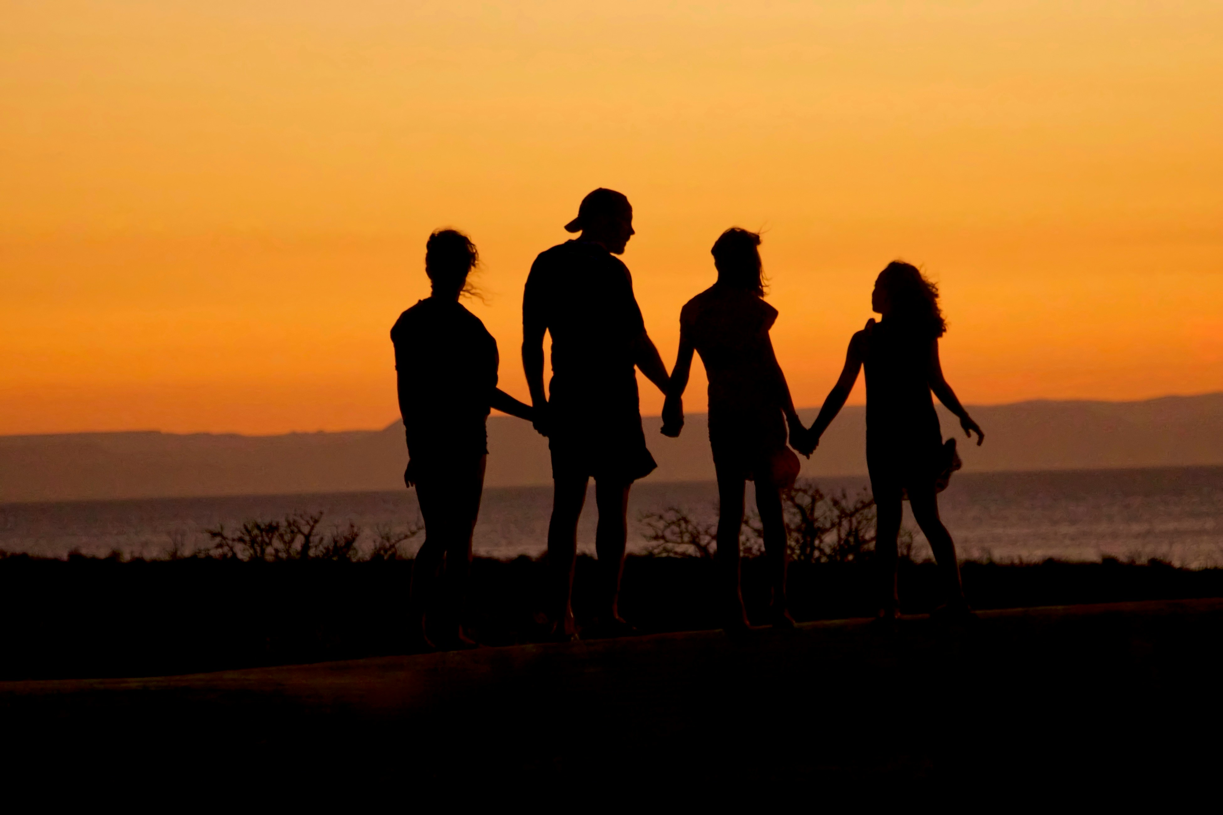 A family holding hands in silhouette against a sunset